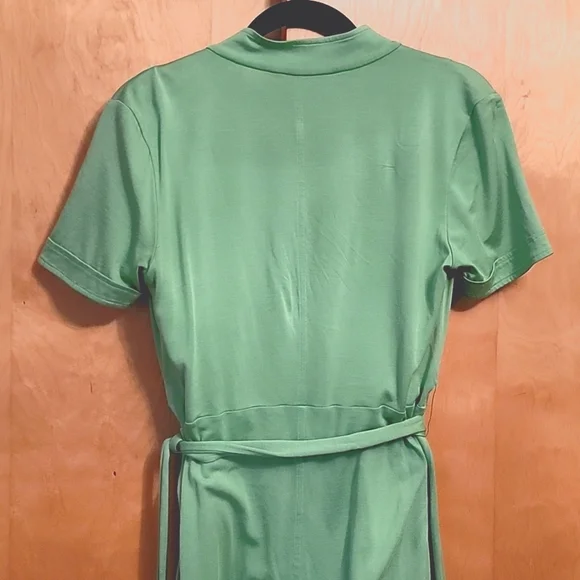 Banana Republic Green Silk Cotton Dress - Picture 5 of 9